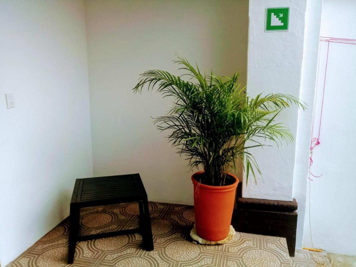 Отель Casa Shalom Oaxaca Экстерьер фото